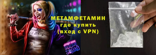 прущие грибы Алагир
