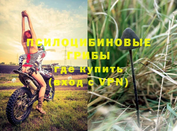 кокс Алексеевка