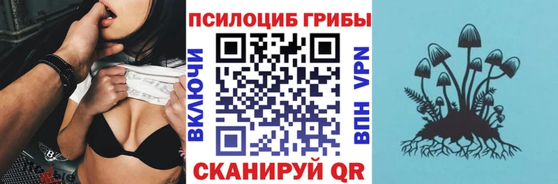 KRAKEN ТОР  Звенигород  Галлюциногенные грибы MAGIC MUSHROOMS 