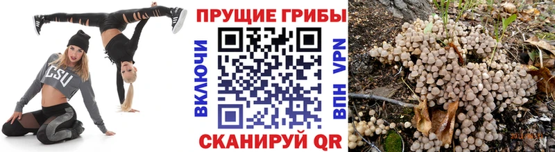 Псилоцибиновые грибы Magic Shrooms Звенигород