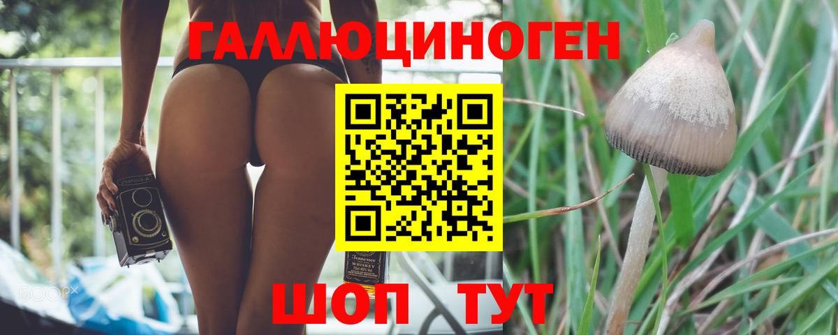 Псилоцибиновые грибы мухоморы  Вход с VPN  наркошоп  Галлюциногенные грибы Psilocybine cubensis  Звенигород 